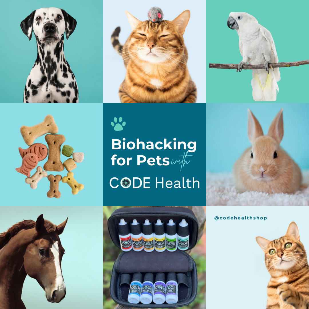 Biohacking For Pets Blog Cover Pet