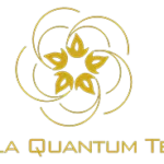 Upgrade with Leela Quantum Tech